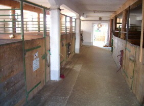 Reitbeteiligung Passau-in-Grubweg-bei-Passau