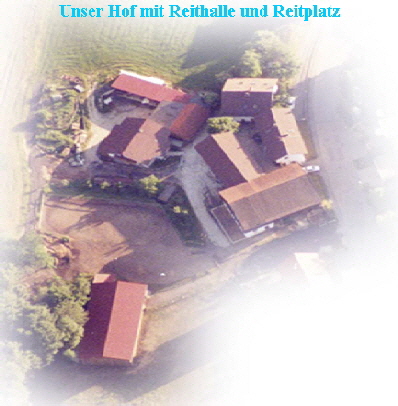 Reitbeteiligung Passau in Grubweg